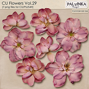 CU Flowers 29