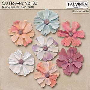 CU Flowers 30