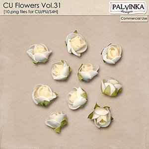 CU Flowers 31