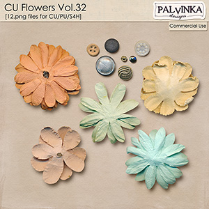 CU Flowers 32
