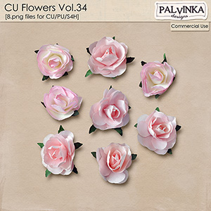 CU Flowers 34