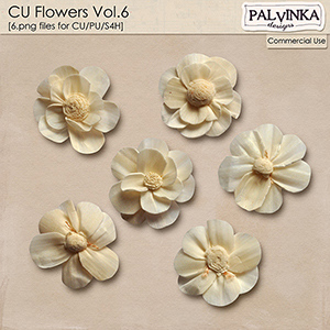 CU Flowers Vol.6