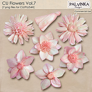 CU Flowers Vol.7