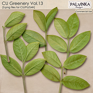 CU Greenery 14