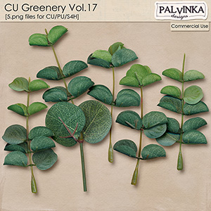 CU Greenery 17
