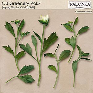 CU Greenery Vol.7