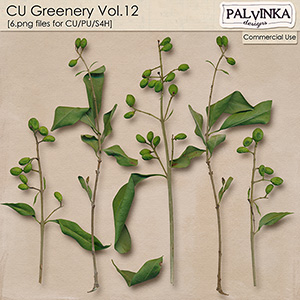 CU Greenery 12