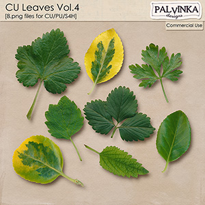 CU Leaves 4