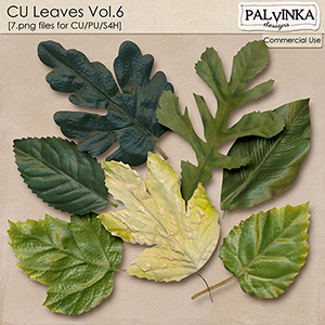 CU Leaves 6