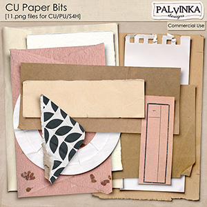 CU Paper Bits