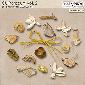 CU Potpourri 2