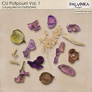 CU Potpourri 1