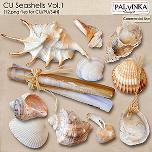 CU Seashells Vol.1