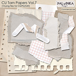 CU Torn Papers 7