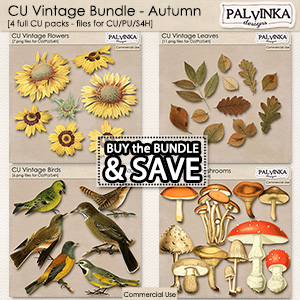 CU Vintage Bundle - Autumn