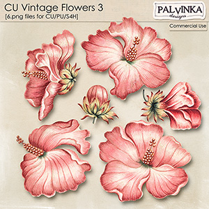 CU Vintage Flowers 3
