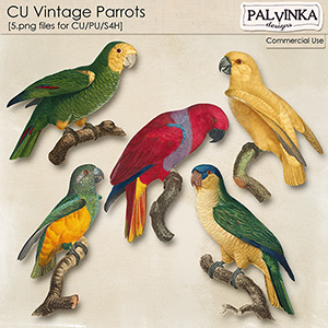 CU Vintage Parrots
