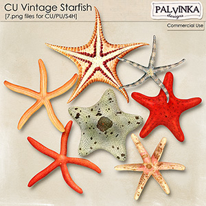 CU Vintage Starfish