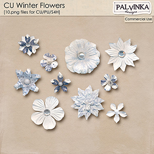 CU Winter Flowers
