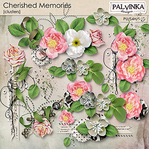 Cherished Memories Clusters
