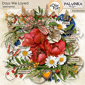 Days We Loved Elements