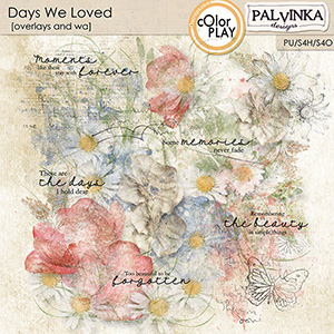Days We Loved Overlays and WA