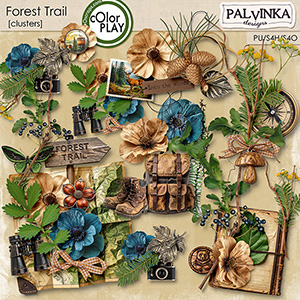 Forest Trail Clusters