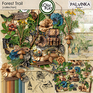Forest Trail Collection + free BONUS