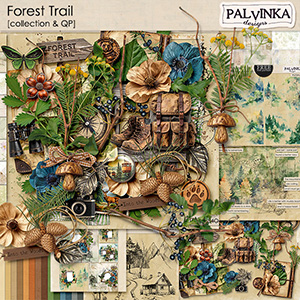 Forest Trail Collection & QP