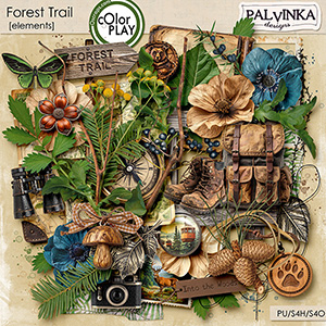 Forest Trail Elements