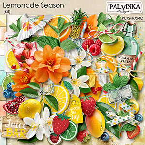 Lemonade Season Kit