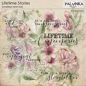 Lifetime Stories Overlays and WA