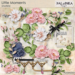 Little Moments Clusters 