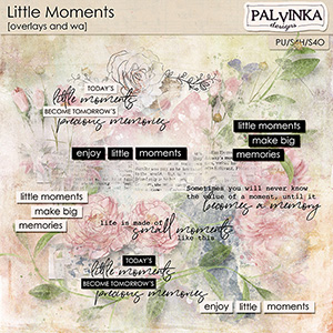 Little Moments Overlays and WA