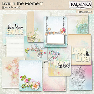 Live In The Moment Journal Cards