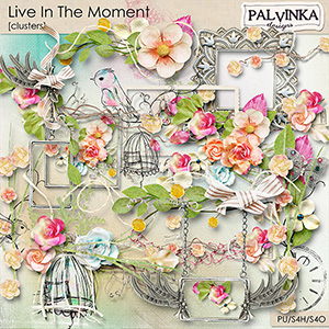 Live In The Moment Clusters