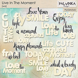 Live In The Moment WA