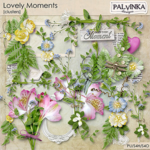 Lovely Moments Clusters