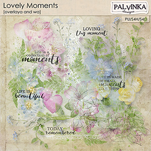 Lovely Moments Overlays and WA