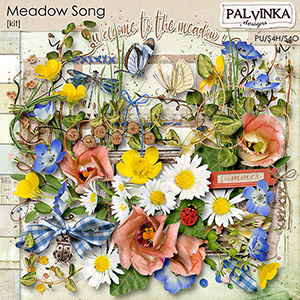 Meadow Song Kit