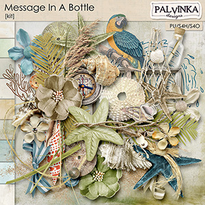 Message In A Bottle Kit