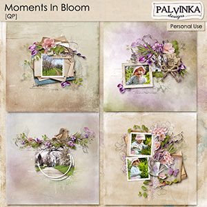 Moments In Bloom QP