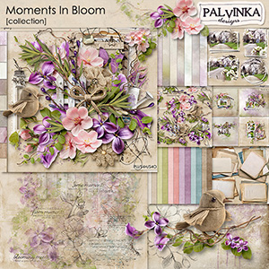 Moments In Bloom Collection