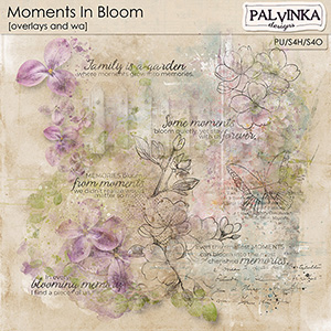 Moments In Bloom Overlays and WA