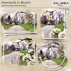 Moments In Bloom Photomasks and Frames