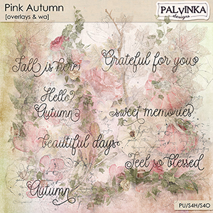 Pink Autumn Overlays and WA