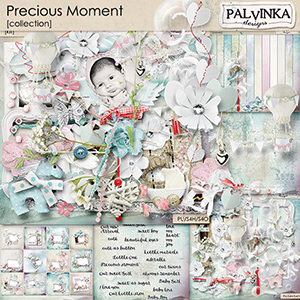 Precious Moment Collection