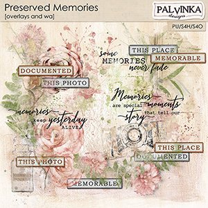 Preserved Memories Overlays and WA