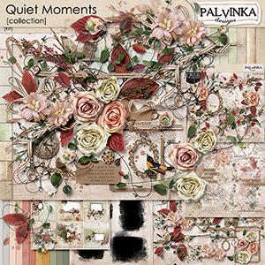 Quiet Moments Collection & QP