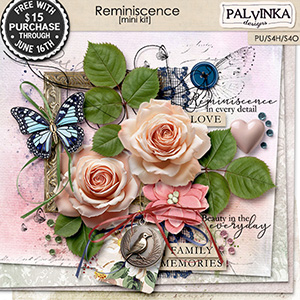 Reminiscence Kit